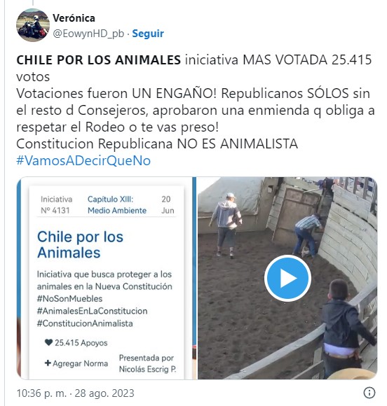 votacion animales.jpg